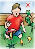 Poisons in Garden